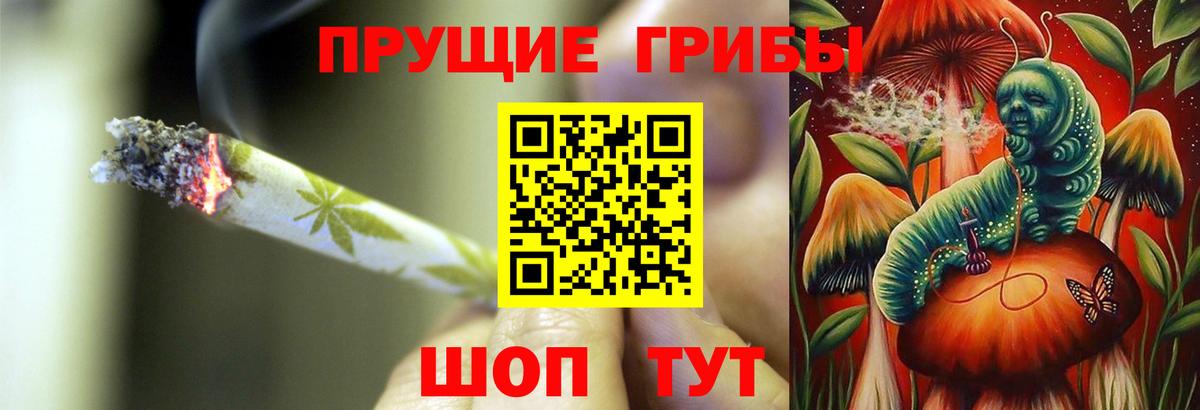 Псилоцибиновые грибы Psilocybine cubensis Острогожск